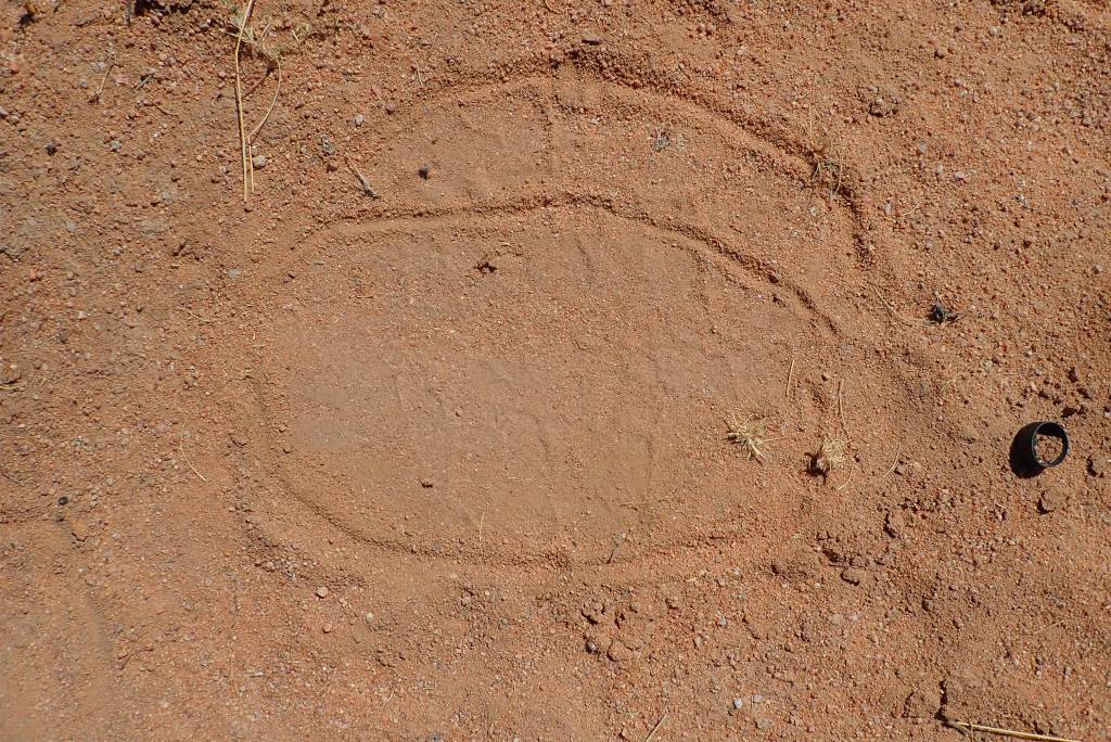 This image has an empty alt attribute; its file name is p2120338.jpg