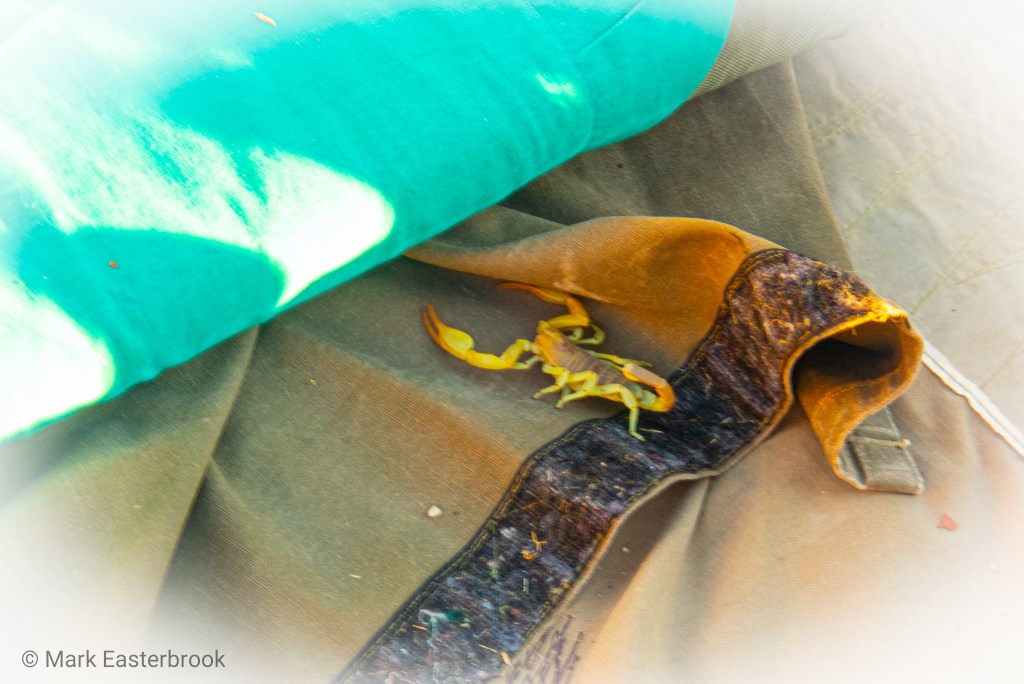 This image has an empty alt attribute; its file name is p2130413.jpg