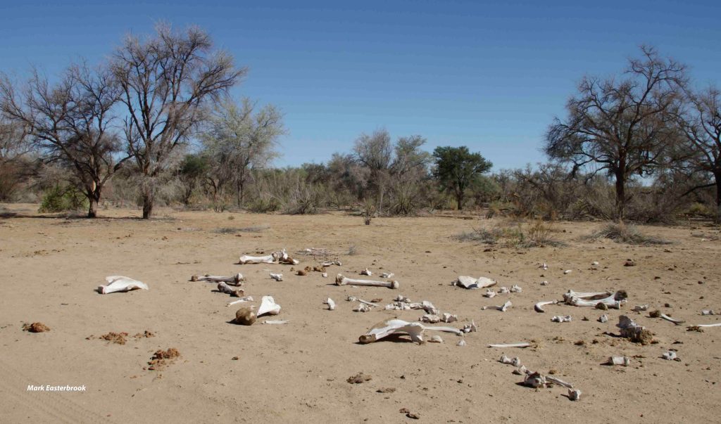 This image has an empty alt attribute; its file name is nb-tracking-10.jpg